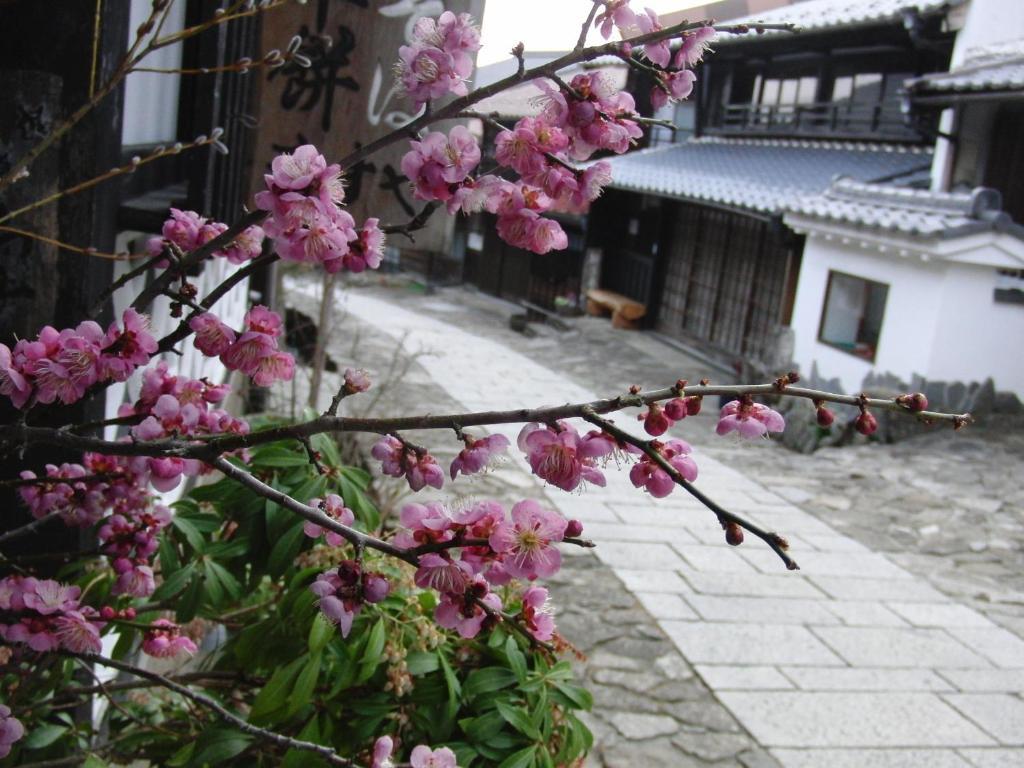 Tajimaya Nakatsugawa Exteriör bild