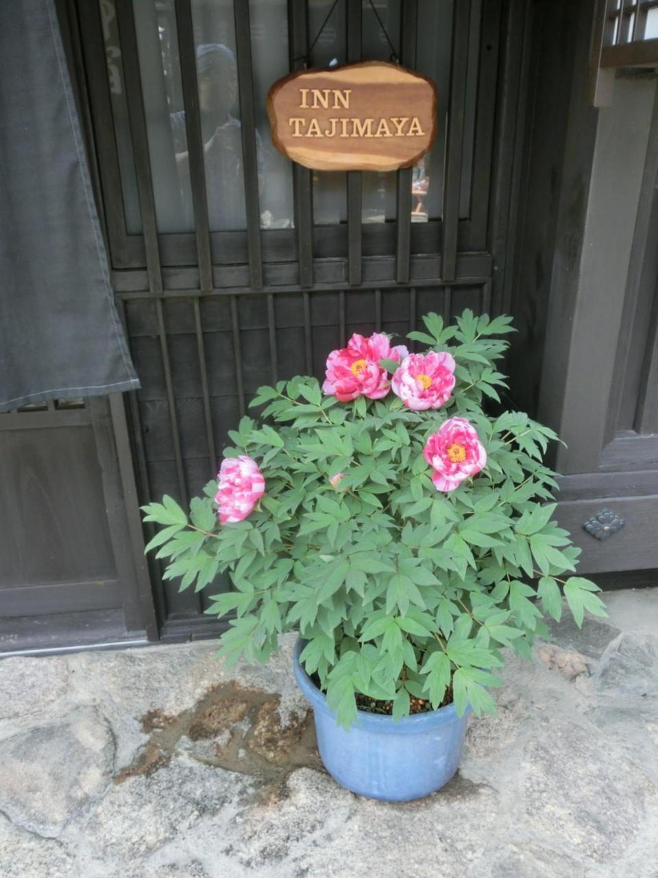 Tajimaya Nakatsugawa Exteriör bild